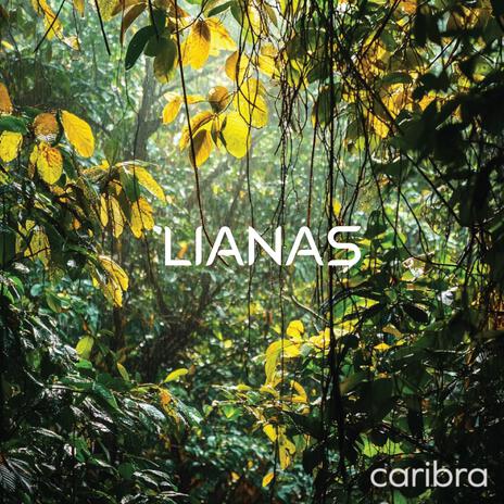 Caribra (Nature) | Boomplay Music