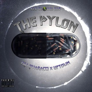 The Pylon