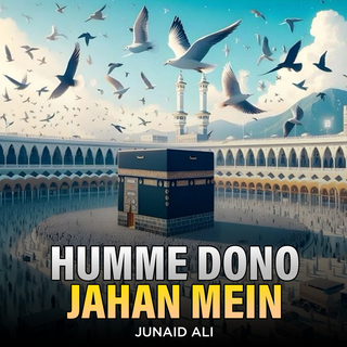 Humme Dono Jahan Mein