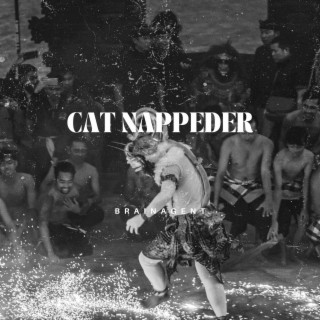 Cat nappeder