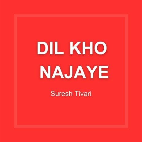 Dil Kho Najaye | Boomplay Music