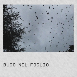 Buco nel Foglio lyrics | Boomplay Music