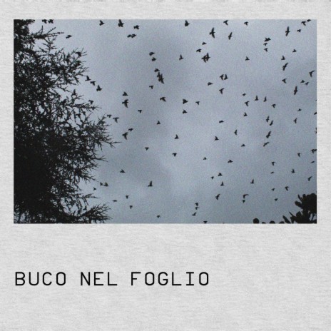 Buco nel Foglio | Boomplay Music