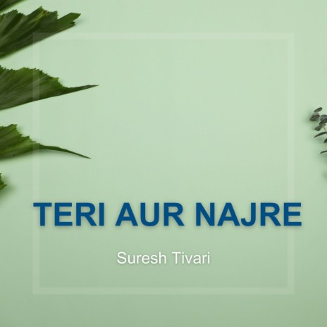 Teri Aur Najre | Boomplay Music