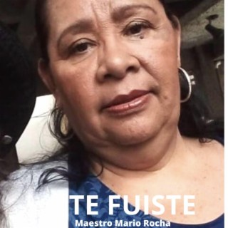 Te fuiste lyrics | Boomplay Music