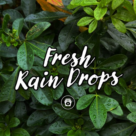 Gentle Rain Drops (Version 2 Mix)