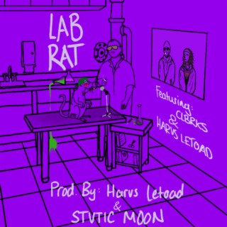 LAB RAT