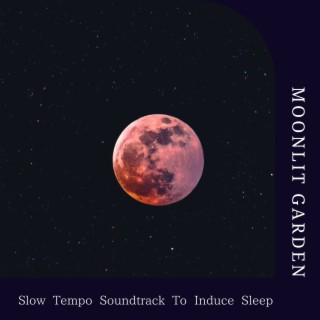 Slow Tempo Soundtrack to Induce Sleep