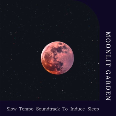 Time for Bed | Boomplay Music