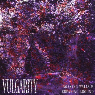 Vulgarity