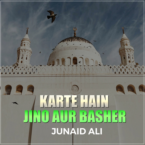 Karte Hain Jino Aur Basher | Boomplay Music