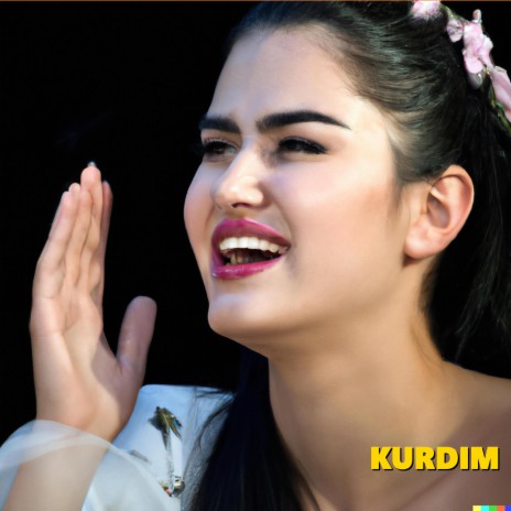 Kürtler Vadisi Halayı | Boomplay Music