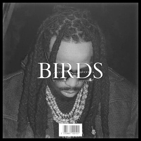 BIRDS | Boomplay Music