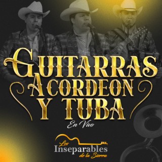 Guitarras, Acordeón y Tuba (En Vivo)