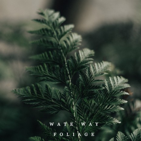 Foliage | Boomplay Music