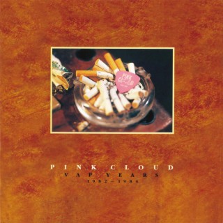 PINK CLOUD CD VAP YEARS 1982~1984