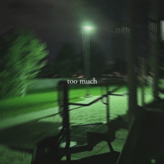 Too Much lyrics | Boomplay Music