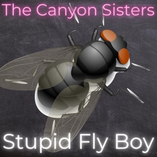 Stupid Fly Boy