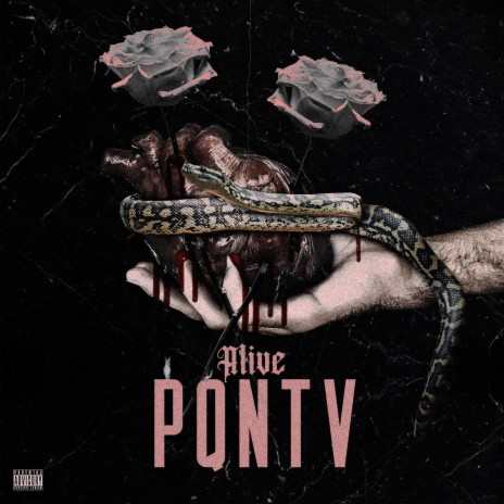 PQNTV | Boomplay Music