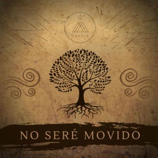 No Seré Movido lyrics | Boomplay Music