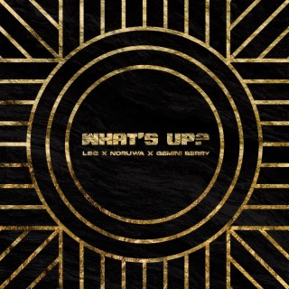 What's Up ft. Noruwa & GeminiBerry lyrics | Boomplay Music