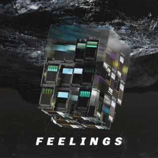 Feelings