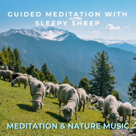 Guided Meditation With Sleepy Sheep | Boomplay Music