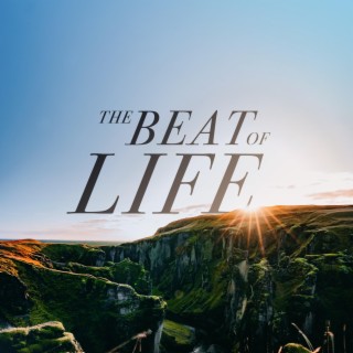 The Beat of Life (528 Hz)