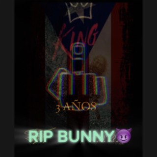 RIP BUNNY