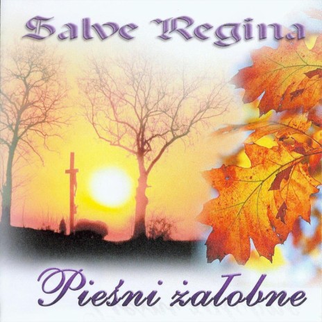 Salve Regina | Boomplay Music