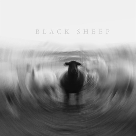 BLACK SHEEP ft. KNOMADD | Boomplay Music