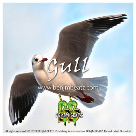 Gull | Boomplay Music