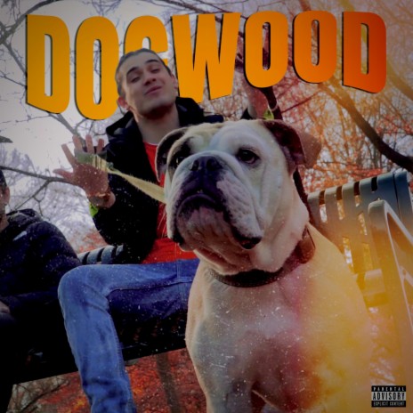 Dogwood | Boomplay Music