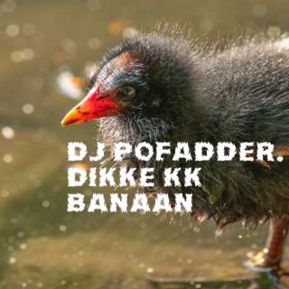 DJ Pofadder
