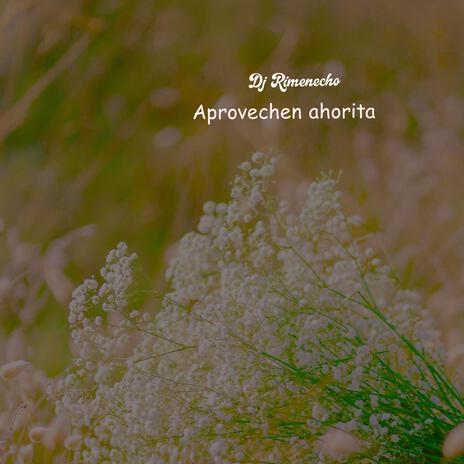 Aprovechen Ahorita | Boomplay Music