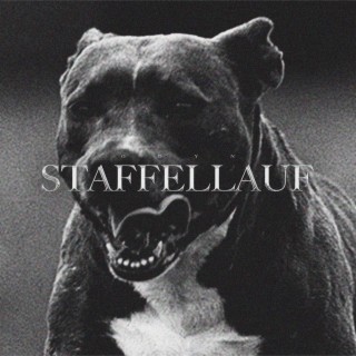 Staffellauf