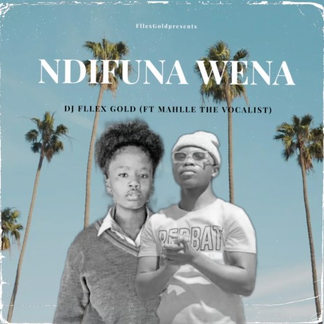 Ndifuna Wena ft. Mahlle the Vocalist | Boomplay Music