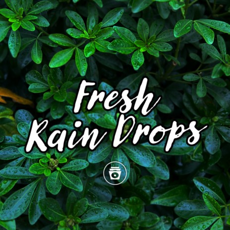 Cracking Rain Sounds ft. Nature Recordings | Boomplay Music
