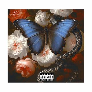 Butterflies lyrics | Boomplay Music