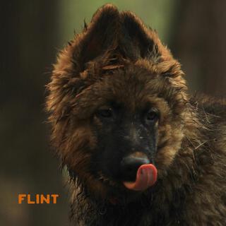 Flint (Bunkhouse Session) lyrics | Boomplay Music