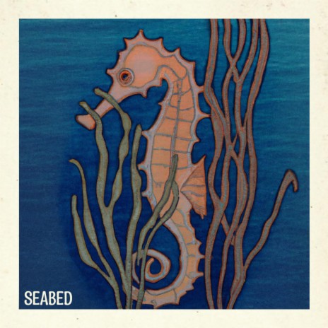 seabed | Boomplay Music