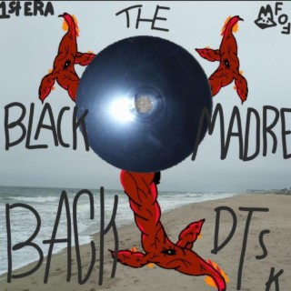 The Black Madre Back Disk