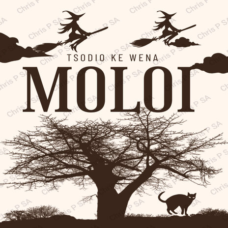 Wena Moloi | Boomplay Music