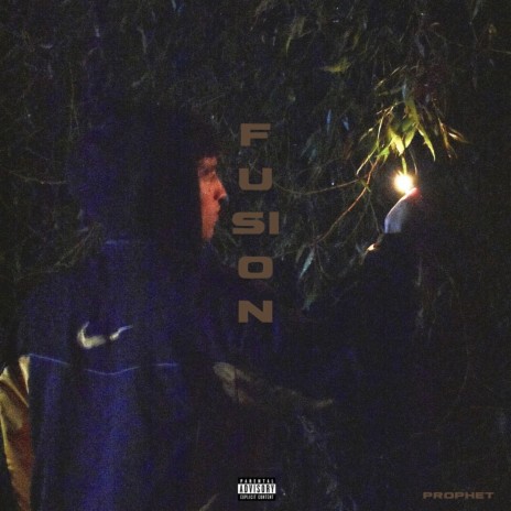 FUSiON | Boomplay Music