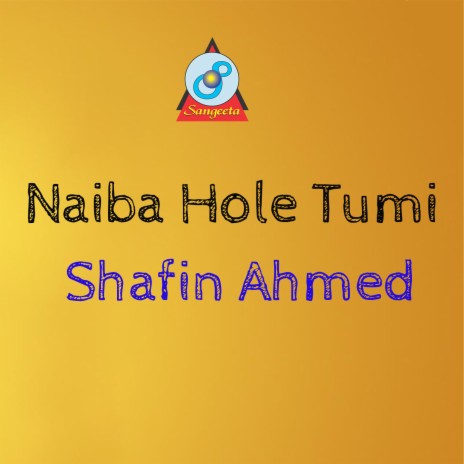 Naiba Hole Tumi | Boomplay Music