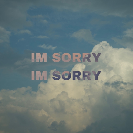 IM SORRY IM SORRY | Boomplay Music