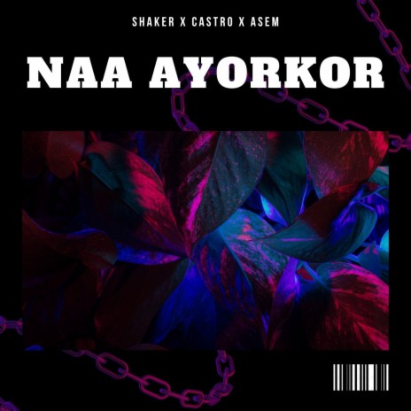 Naa Ayorkor (feat. Castro & Asem)