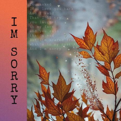 IM SORRY | Boomplay Music