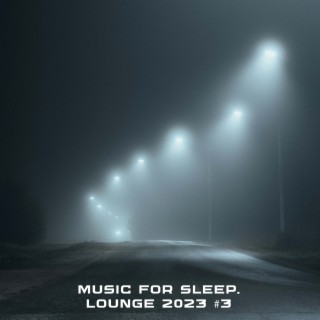 MUSIC FOR SLEEP. Lounge 2023 #3