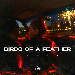 Birds Of A Feather (Remix) ft. Techno Bangers lyrics | Boomplay Music